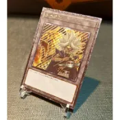 花神-遊戲王同人代卡 浮雕凸版  馬利克&翼神龍 Token代幣 值得收藏-：