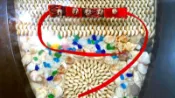 原住民手工藝品※.民俗風.零錢包.服飾.跳舞用手環手練鈴鐺...腳鈴鐺...手練鈴鐺..衣服