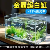 雲上精品百貨 【物美價廉】魚缸金晶超白缸小型客廳生態新款桌面金魚缸長方形超白玻璃水族箱