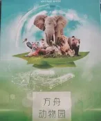 【現貨】方舟動物園 含海洋擴24h發貨 DIY 全新  卡牌清晰 桌遊紙質幣改為金屬幣，手感更佳，帶收納盒[綠圓