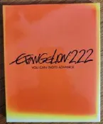 #ACG  新世紀福音戰士 新劇場版 破 DVD  二手ヱヴァンゲリヲン新劇場版 破　EVANGELION: