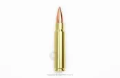 RST 紅星- MIESSA 美軍 M60機槍 M14 步槍7.62x51mm 金屬裝飾仿真彈 57步槍假彈 15334
