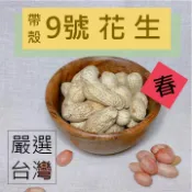 【金瑞益】台灣嚴選 9號花生 300g｜台灣花生 花生 原味花生 帶殼花生｜堅果 金潤益