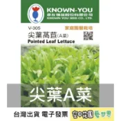 【台灣出貨 電子發票】尖葉萵苣(A菜) 種子 1g 菜籽 蔬果 水耕 萵苣 家庭園藝 農友 空中花園藝世界 V-305