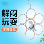 鸚鵡玩具吊環攀爬環小太陽玄鳳牡丹鞦韆吊床鳥站桿站架寵物用品