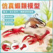 🌈仿真動物模型 海洋淡水蝦紅螯蝦小龍蝦水晶蝦長臂蝦實心 公仔 迷你 手辦 玩具