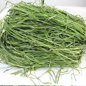 【青青草原寵物館】多樣草種拼裝萌寵牧草甜小麥草燕麥草苜蓿提摩西一割二割百慕達一次備齊天竺鼠豚鼠龍貓牛羊馬兔子陸龜牧草