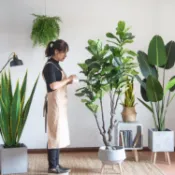 林之舍家居 北歐大型仿真植物假樹綠植盆栽擺件旅人蕉室內落地櫥窗裝飾 免運開發票