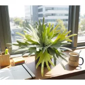(店+)【HUGO DECO 榆果傢飾】高擬真鹿角蕨盆栽(擬真植物/禮物/綠化/永不凋零/佈置/蕨類)
