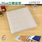 【松果購物】LASSLEY 立體座墊55cm厚6cm(坐墊 大方墊 四方墊 厚墊 沙發墊 客廳墊 木椅 大理石椅 椅墊 台灣製造)