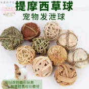 兔子草球 提摩西苜蓿草編制磨牙耐啃咬豚鼠荷蘭豬健齒玩具耐啃咬