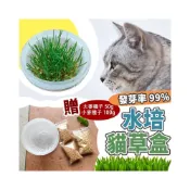(店+)貓草 貓草種子 【贈送150g貓草種子】水培貓草 貓草種植 小麥草 小麥草種子 小麥種子 貓草盆栽 大麥種子 貓草盒