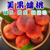 【美國蟠桃】嫁接苗 陽台果園 快速產果 水蜜桃 水蜜桃苗 果樹 水果苗 果樹苗 水果盆栽