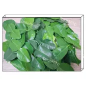 🐰TOKO MINI🐰檸檬葉 馬蜂橙葉 Daun jeruk - 25g