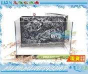 【魚店亂亂賣】UP雅柏超白淡水3D岩板背濾缸1.5尺(附沉水馬達200L)一尺半開放缸OT-BF-F45-3D台灣