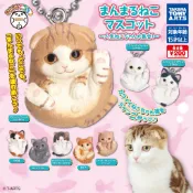 「Vic Toy」扭蛋 轉蛋 現貨 T-ARTS 圓滾滾貓咪 人氣貓大集合 玩具 吊飾 單售