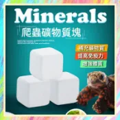 ★爬蟲新樂園★[台灣現貨]爬蟲礦物質塊 鈣塊 爬蟲 陸龜 烏龜 守宮 蜥蜴 變色龍 礦物質補充 微量元素 鈣質補充