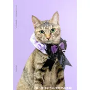 【臺北市流浪貓保護協會】《CATWALK璀璨貓影》2026年年曆系列單層式L型資料夾／波波鴿 TAAZE讀冊生活網路書店