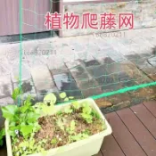 『園林熱銷上新』攀爬網 葡萄網 農用加粗網 絲瓜網 吊瓜網 黃瓜網 植物攀爬網 瓜棚網 一網多用 加厚耐用
