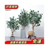 (店+)[無需打理 免運]北歐ins風室內仿真尤加利金錢樹盆栽仿真假樹綠植民宿裝飾物擺件 U18V