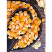 蘑菇玉米粒 蘑菇球型 圓球狀 蘑菇形 爆米花玉米粒 乾玉米粒 玉米粒 爆米花專用 玉米花 爆米花原物料 乾玉米 爆米花