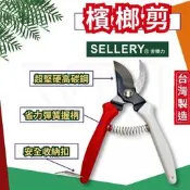 【現貨熱賣24H】檳榔剪 檳榔剪刀 剪定鋏 舍樂力 園藝剪 園藝剪刀 花剪 樹枝剪 修枝剪 果樹剪 花枝剪 台灣製造