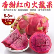 WANG蔬果 嚴選紅肉火龍果(2箱_5-8入/約5斤/箱)