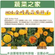 【蔬菜之家滿額免運】H04.金峰萬壽菊種子200顆(美化綠化環境作物)
