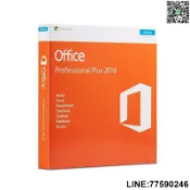 快樂購一店 【歡樂購】辦公office 2019/2016/2013/2010 專業版proplus/小企業標準版中英文含光碟金鑰彩
