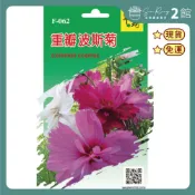 【欣榮二館免運快速出貨】翠筠種子 重瓣波斯菊 花卉種子 種子 原裝包 蔬菜種子 菜種子 花種子 種菜 苗種子