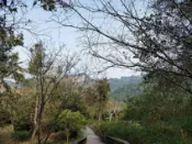 【Lion Travel 雄獅旅遊】關子嶺賞楓．台南旅遊｜早鳥折500｜鹿耳門聖母廟.富野溫泉會館含飯店晚餐二日｜中部出發 出發地點：台中