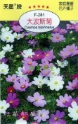 【野菜部屋~】Y21 大波斯菊Cosmos bipinnatus~穗耕種苗~天星牌種子~