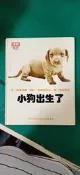 童書繪本《小狗出生了》心理成長類27- 漢聲精選世界最佳兒童圖畫書 漢聲 精裝本 無劃記E41