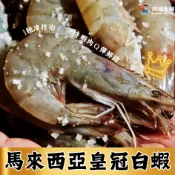 【銘雄生鮮】馬來西亞頂級白蝦  甜度高  皇冠牌 馬來西亞  蝦子 馬來白蝦 白蝦 活白蝦 活凍大白蝦 海鮮
