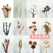 乾燥花 綜合 不凋花 永生花 卡斯比亞 星辰花 麥穗 兔尾草 情人草 向日葵 勿忘我 滿天星 插花花材 裝飾【盞樂空間】