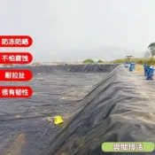帆布魚池 魚池護坡防水土工膜 養殖專用黑地膜水 池儲水塑料佈 水産養殖膜 魚池防水布 加厚抗老化魚塘