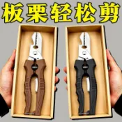 🚀99免運🚀有貨在臺🚚板栗剝殼神器去皮工具栗子剪子商用生板栗開口器鋒利開口剪