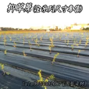 台灣製造👍50米雜草抑制蓆1尺1.5尺2尺2.5尺3尺3.5尺4尺5尺6尺塑膠釘📌ㄇ型釘📌V型釘🌿抑草蓆🌿抑制蓆🌿防草布