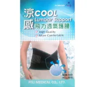 (店+)【Fe Li 飛力醫療】涼感護腰帶