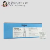 髮質設計師立坽的小窩 LOREAL 復甦循環 絲漾博亞美尼斯豐量精華6ml*42支(整盒) IS05｜立坽『免沖頭皮調理』台灣萊雅公司貨｜領券再折｜換季保養 ⚡頭皮保養 水潤保濕 蓬鬆秀髮 沙龍髮品