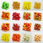 【臺灣出貨】仿真泡沫水果迷你小水果蔬菜套裝模型假水果拍照道具 裝飾配件