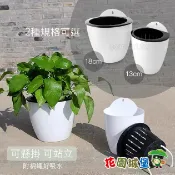 【花園城堡】自動澆水壁掛花盆 附棉繩  壁掛盆 可儲水 觀葉植物 蕨類 多肉植物 草植物 蘭花