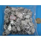 笠螺300g(批發包)