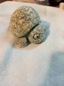 【一品冊二館】(特價優惠)石雕龜 (綠點石) 郭崇榮
