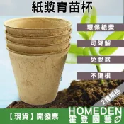 (店+)紙漿育苗杯 育苗盆 紙花盆 營養缽 營養盆 多肉花盆 可降解 環保育苗盆 花盆花器【HOMEDEN霍登園藝】