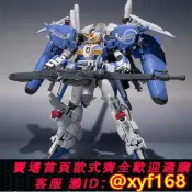 獅子國際購 {保固一年 可打統編}包郵現貨 萬代 METAL ROBOT魂 MR魂 Ka魂 EX-S 高達前哨戰 合金