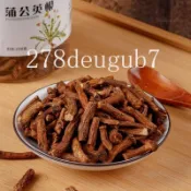 【電子發票】闆娘精選品質❤️ 蒲公英根茶蒲公英根養生茶 長白山婆婆丁帶根乾貨炒制蒲公英茶批發聯繫278deugub7