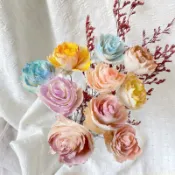索拉波斯菊 碎邊玫瑰 斑駁玫瑰 花束材料 主花 擴香花 通草花