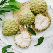 【好時果子】大目釋迦2盒(6入/中果/3kg/盒)