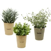 【YU Living】迷你仿真小清新綠色植物裝飾盆栽 芙蓉菊 金錢木 愛之蔓人造盆栽(綠色) [折扣碼現折]